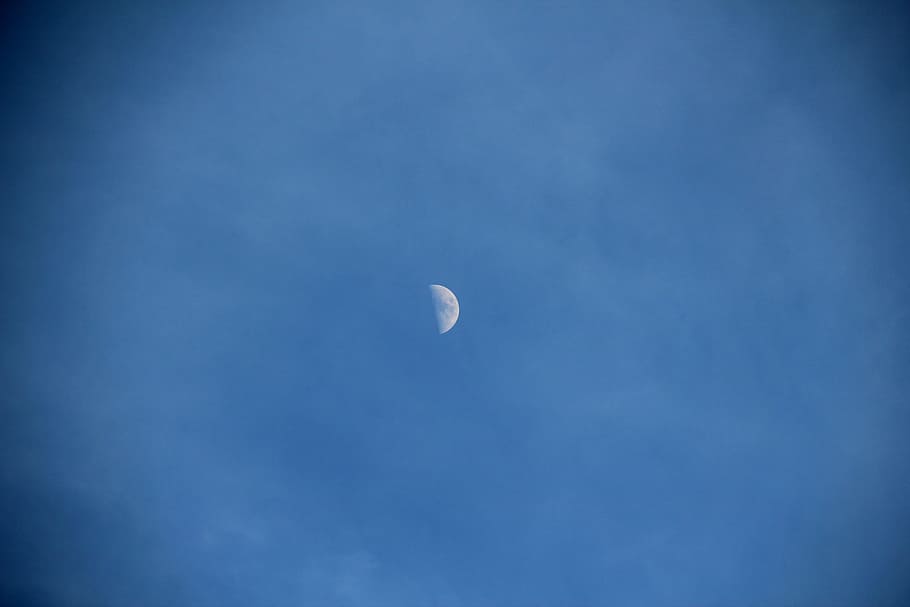 moon, half moon, evening, sky, space, astronomy, blue, beauty in nature HD wallpaper