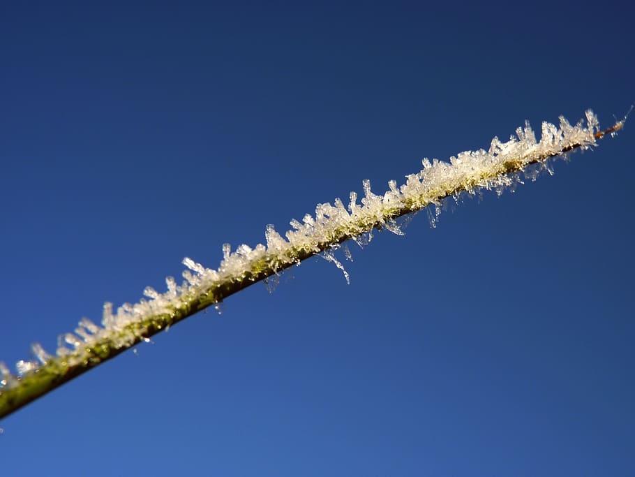 Ice, Crystals, Blue, Winter, eiskristalle, cold, frozen, hoarfrost HD wallpaper