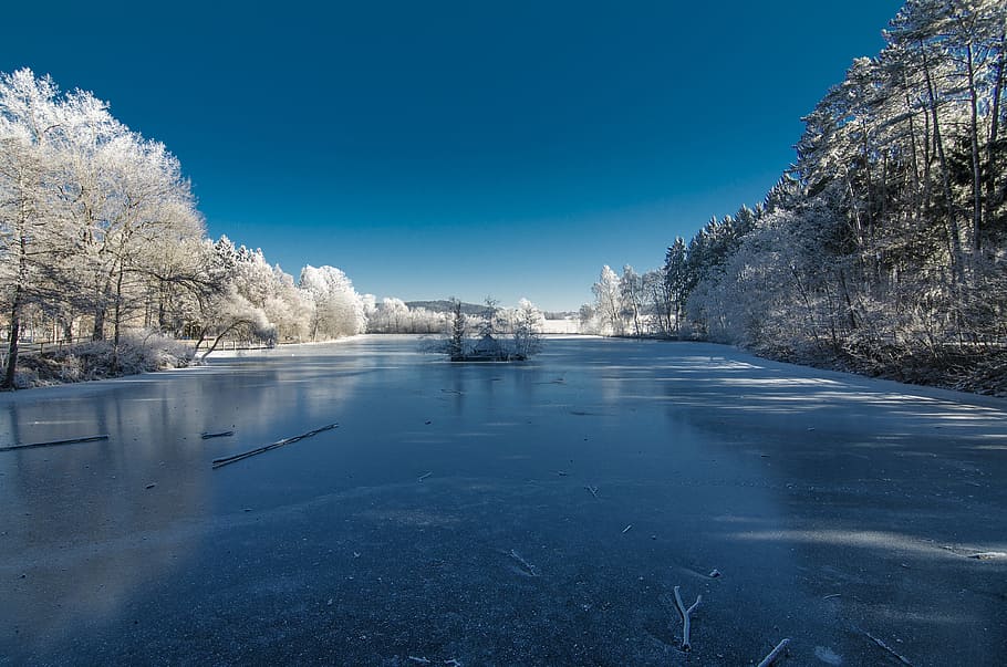 Winter, Landscape, Snow, Cold, Nature, frost, blue, sky, season HD wallpaper