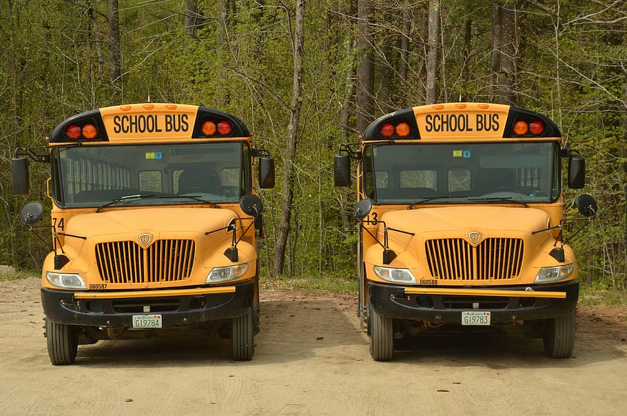 two yellow school buses during daytime, america, schoolbus, transport, HD wallpaper
