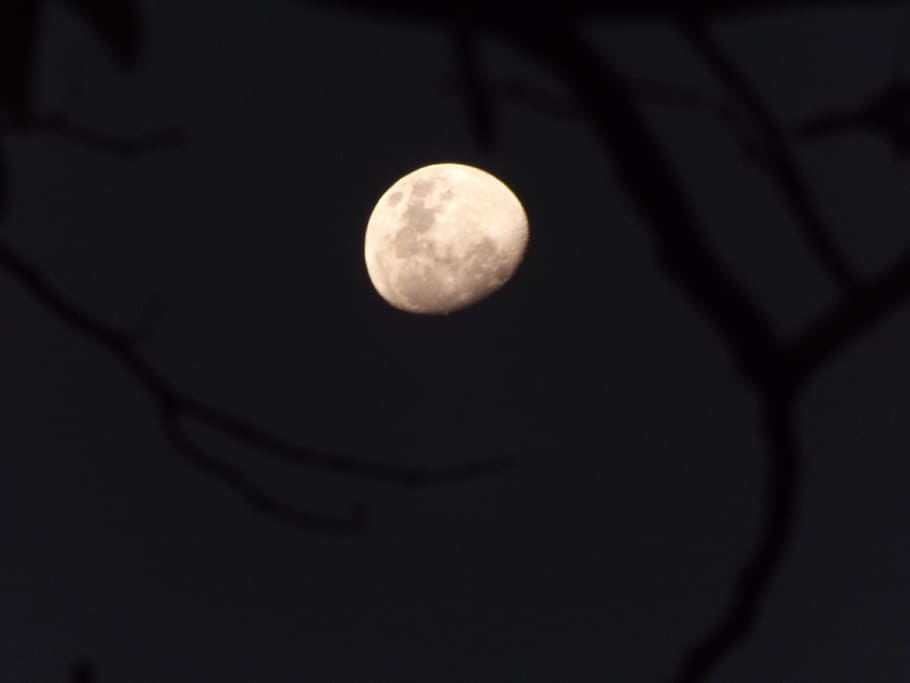 moon, night, dark, sky, black, astronomy, full Moon, sphere HD wallpaper