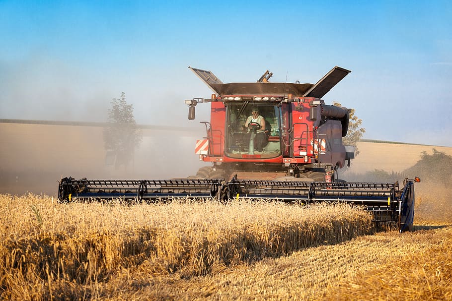 person driving harvester truck during daytime, wheat, field HD wallpaper