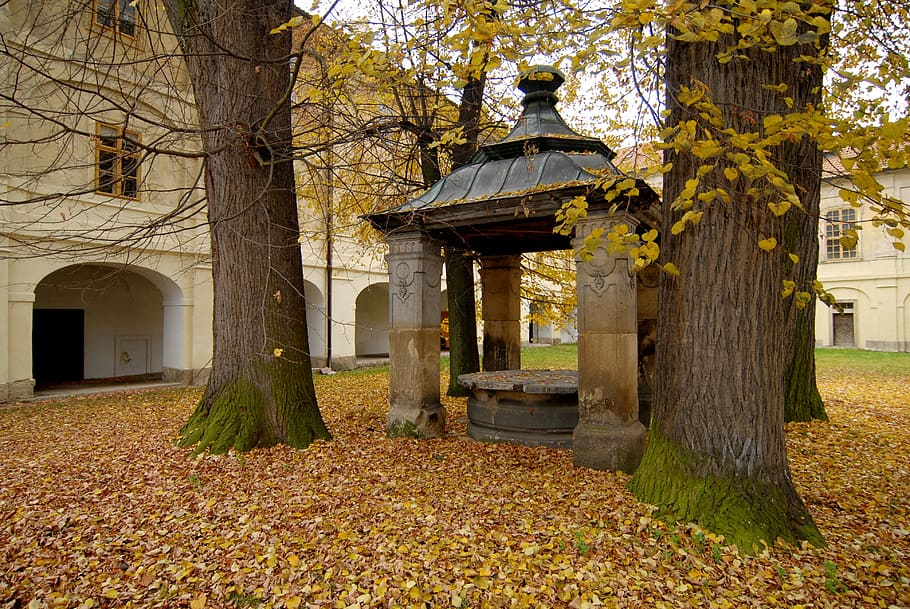 monastery, courtyard, architecture, built structure, tree, autumn HD wallpaper
