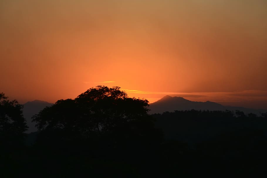 Sunset, Silhouette, Nature, orange color, scenics, tranquil scene HD wallpaper