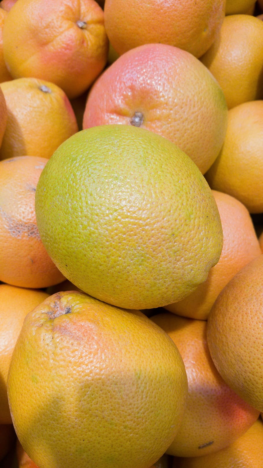 citrus, grapefruit, food and drink, citrus fruit, healthy eating HD wallpaper