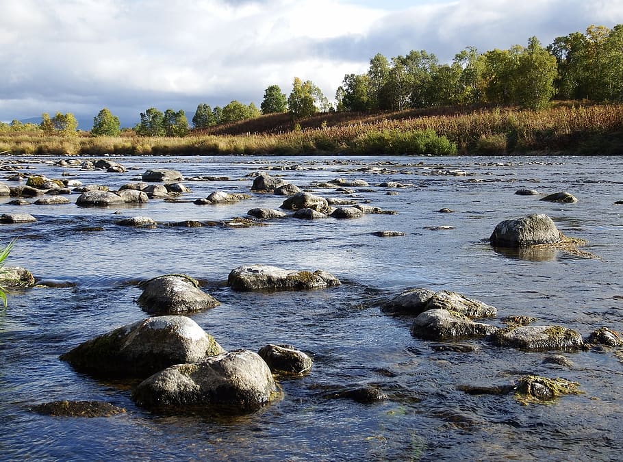river, back on track, for, water, beach, bend, turn the river HD wallpaper