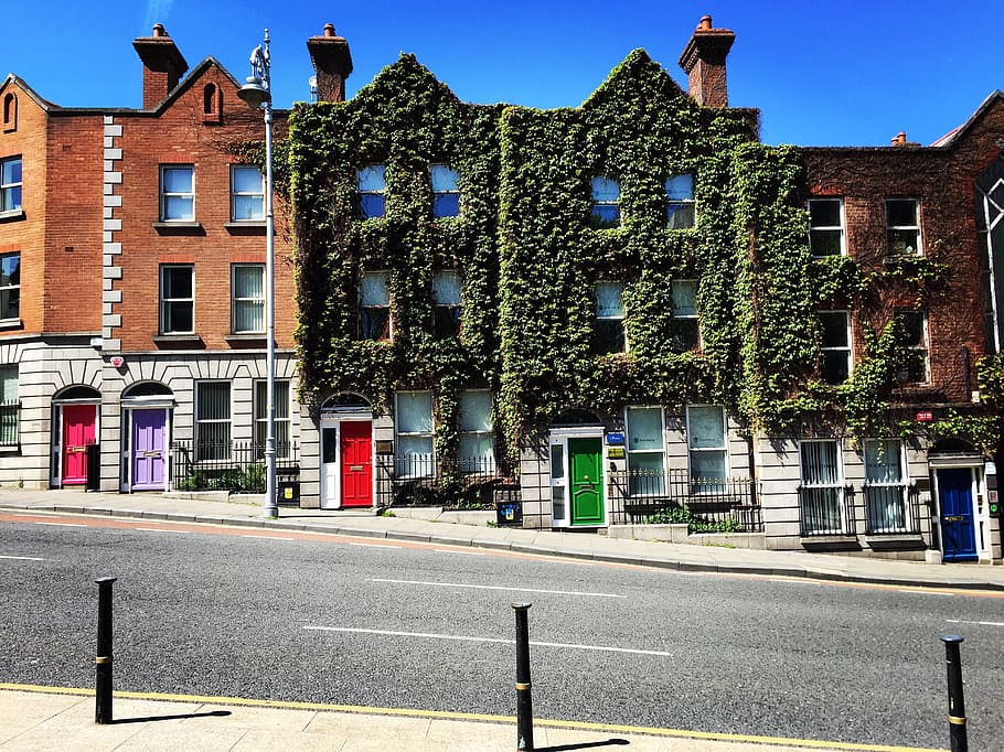 house covered in green leaves, Ireland, Dublin, Door, Color, City