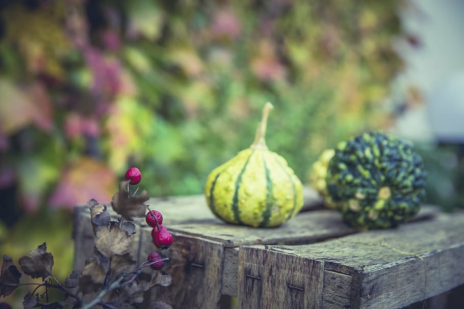 selective focus photography of green vegetable on brown table HD wallpaper