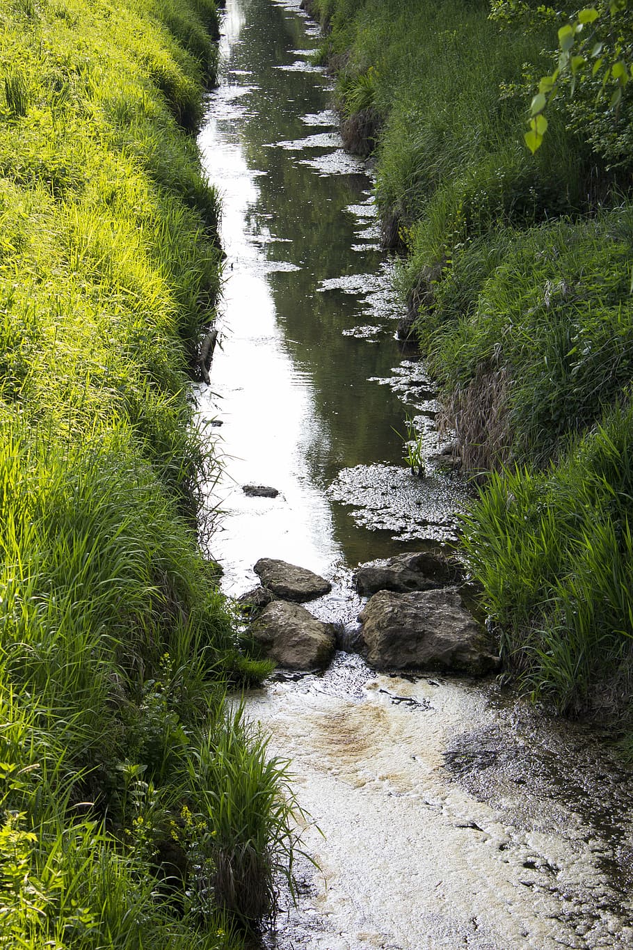 bach, river, water, landscape, nature, stones, plant, green color HD wallpaper