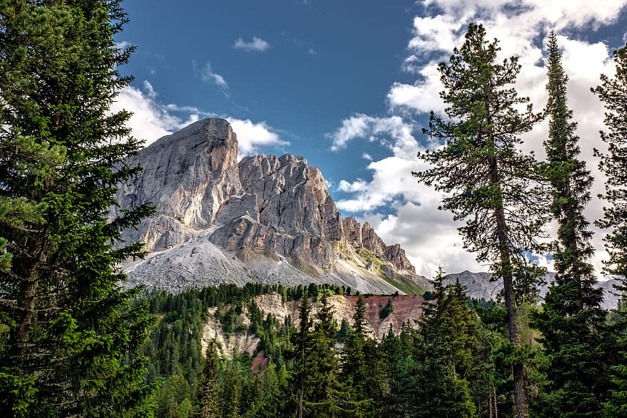 photography of trees and mountain at daytime, clouds, conifers HD wallpaper