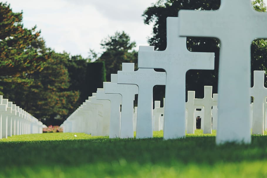 cemetery in shallow focus, cemetary with white gravestones surrounded by trees HD wallpaper