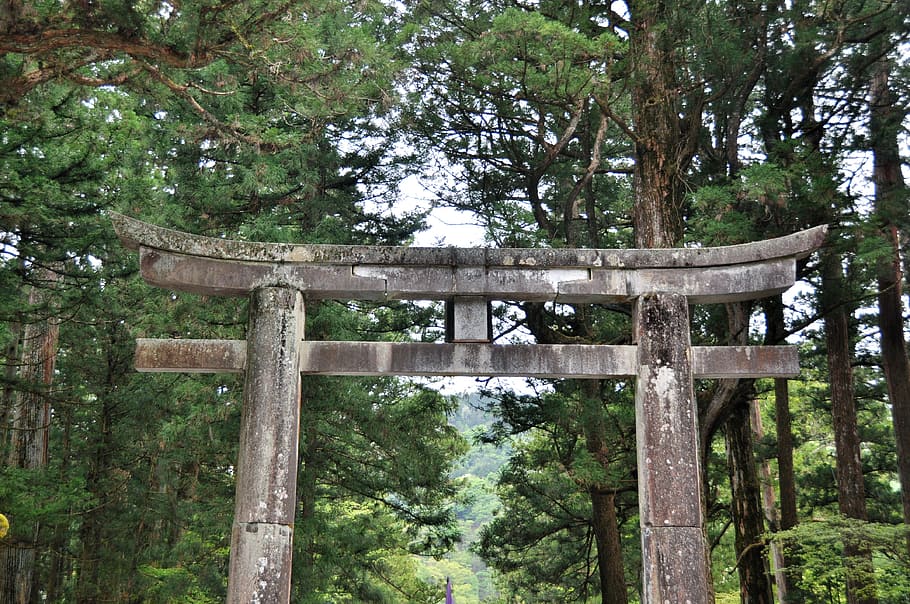 Niko, Japan, Forest, Ancient, Culture, tori, gate, old, green HD wallpaper