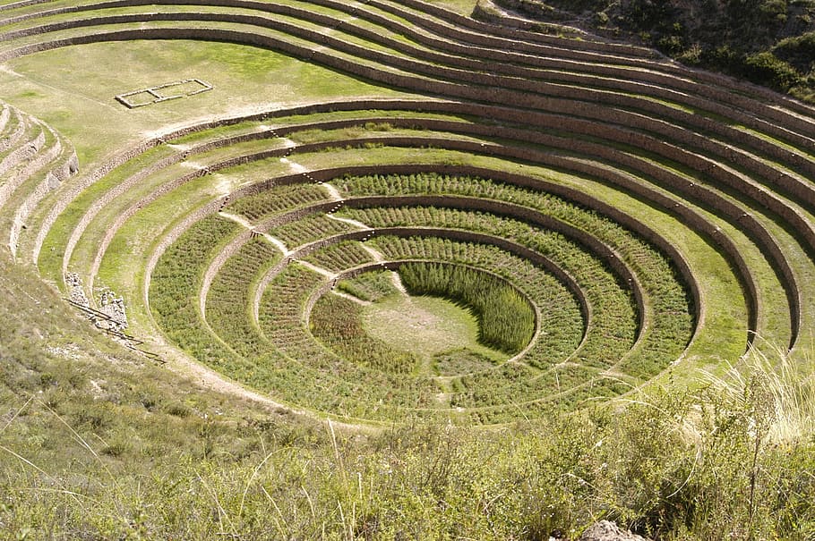 round green leafed plants, moray, peru, inca, landscape, wilderness HD wallpaper