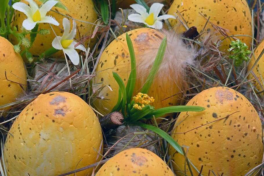seven yellow eggs on the ground, easter eggs, easter nest, spring
