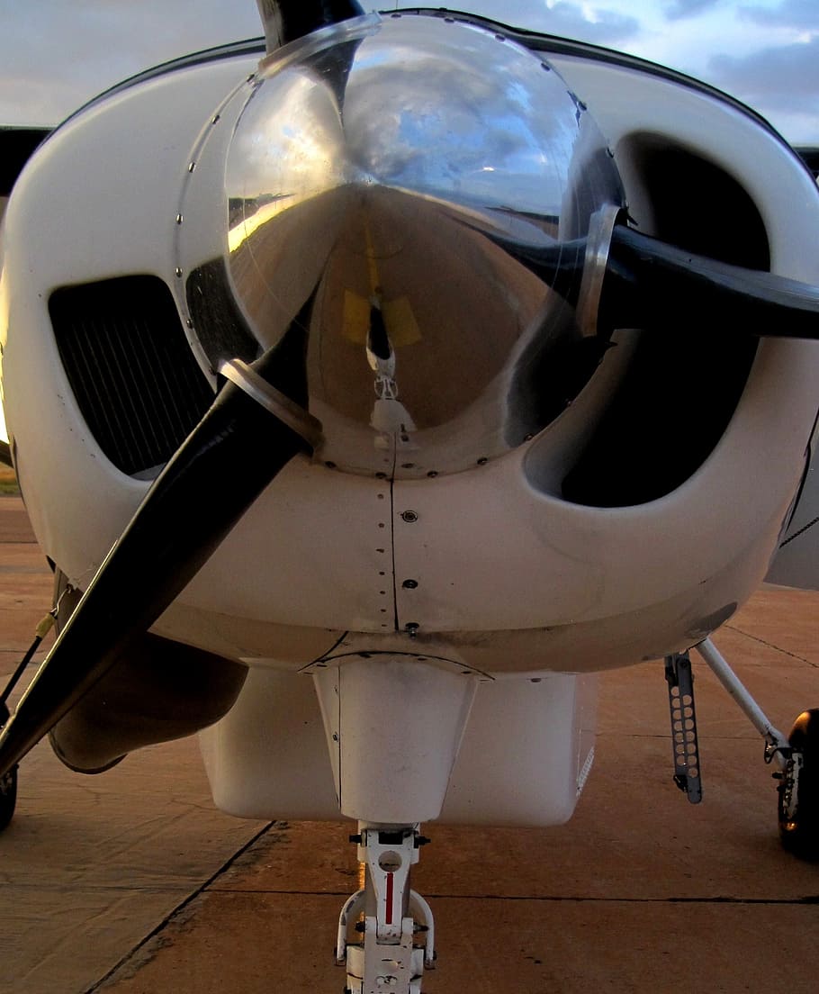 aircraft, airplane, fixed wing, white, propeller, metal, spinner HD wallpaper