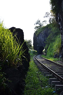 rail road, rails, train, transport, path, tunnel, sri lanka HD wallpaper