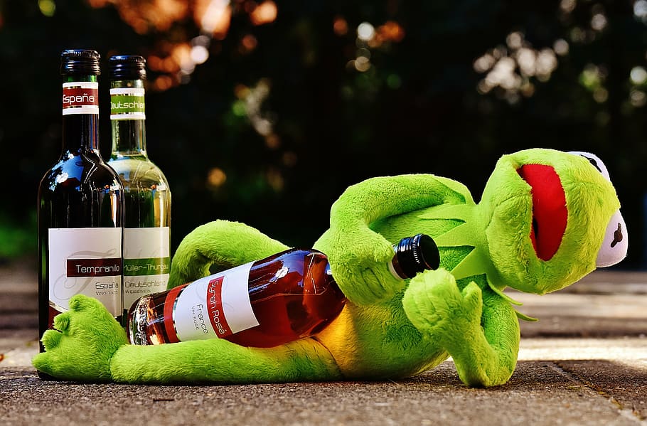 Kermit the Frog holding wine bottle, drink, alcohol, drunk, rest