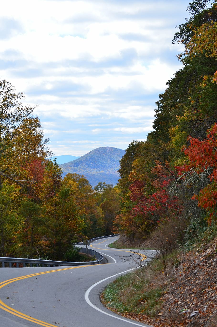 road, mountain, highway, landscape, autumn, trees, plant, cloud - sky HD wallpaper