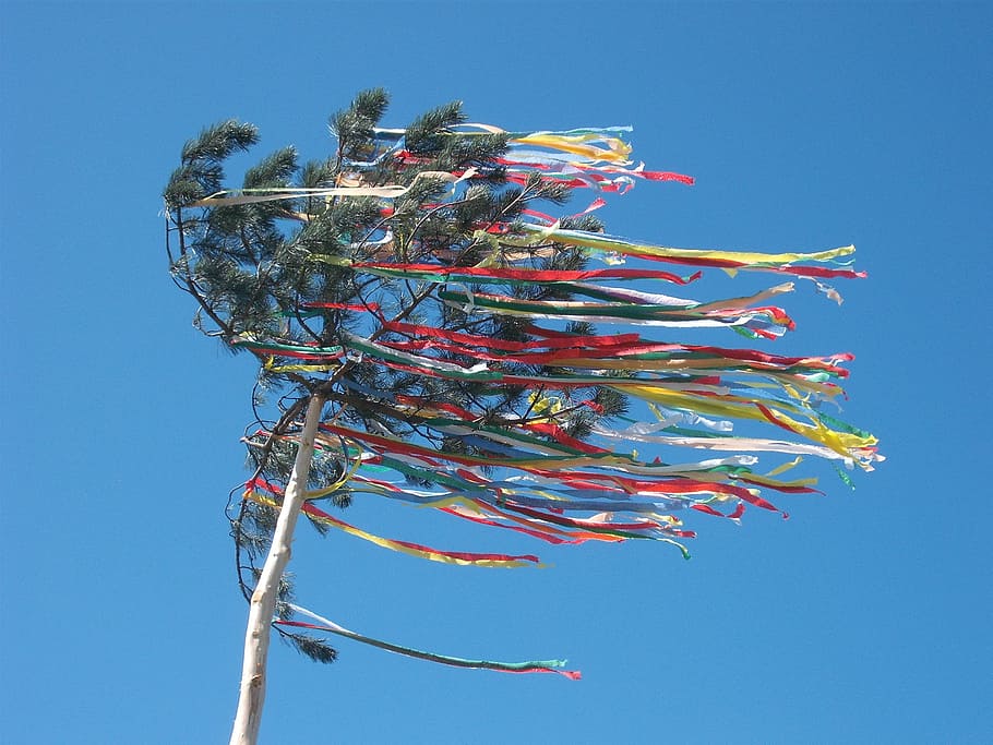 maypole, celebration, tree, holiday, decoration, festive, ornament HD wallpaper