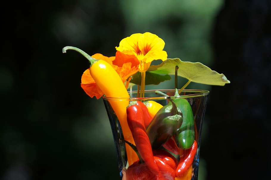 paprika, sharp, pepperoni, chili, cook, ingredient, vegetables HD wallpaper