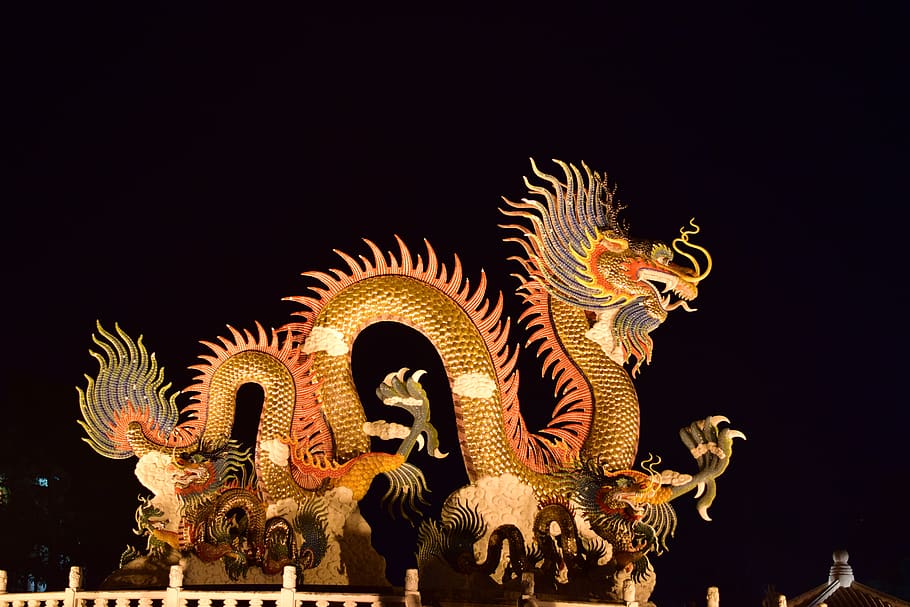 dragon, gold, night, representation, animal representation, HD wallpaper