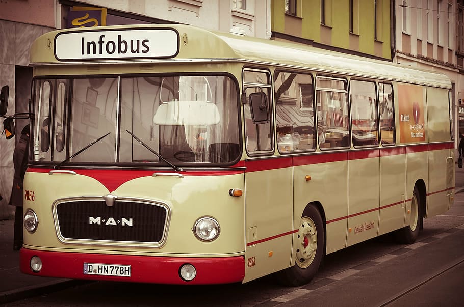 white and red bus, old, oldtimer, auto, vehicle, historically HD wallpaper
