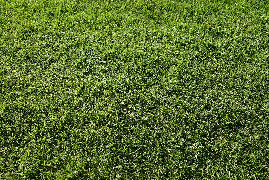 green grass, abstract, background, decorative, pattern, texture HD wallpaper
