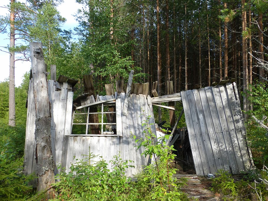 Hut, Collapse, House, Construction, house construction, forest HD wallpaper