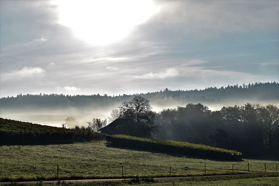 landscape, back light, sunrise, sky, mood, nature, morgenstimmung HD wallpaper