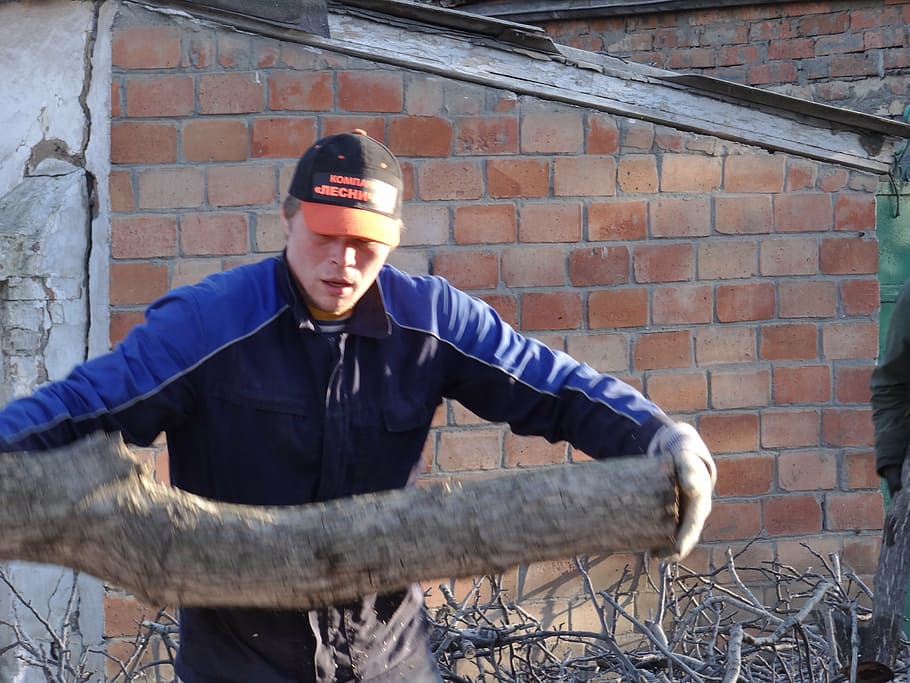 saw cut, trees, old tree, felling, men, outdoors, people, winter HD wallpaper