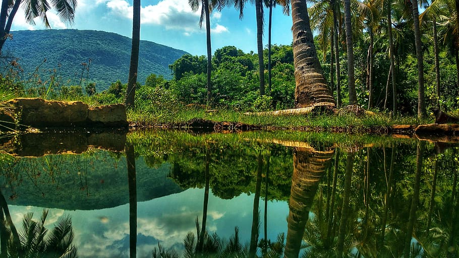 hill, trees, water, stone, wall, sky, clouds, reflection, plant HD wallpaper