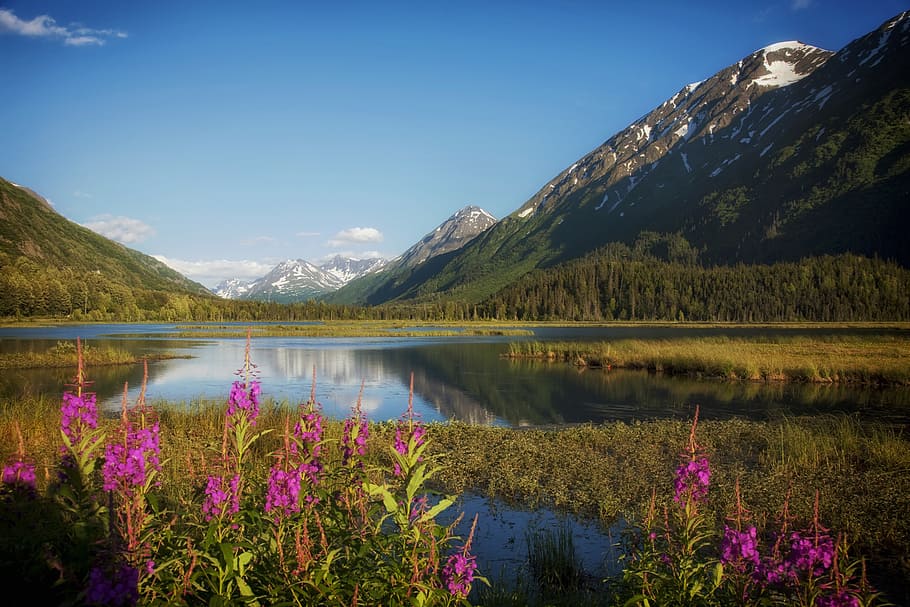 lake surrounded by mountains, alaska, water, reflections, snow HD wallpaper
