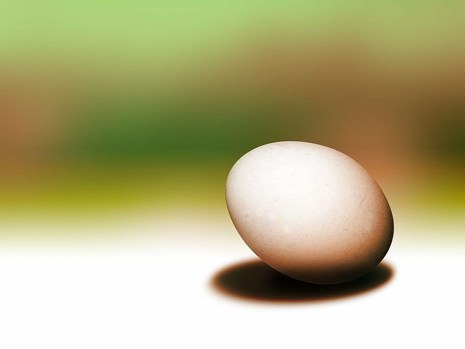 eggs, easter, no people, close-up, sport, freshness, healthy eating HD wallpaper