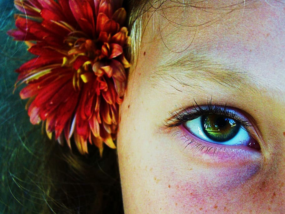 green, walnut, eyes, macro, person, girl, flower, close-up HD wallpaper