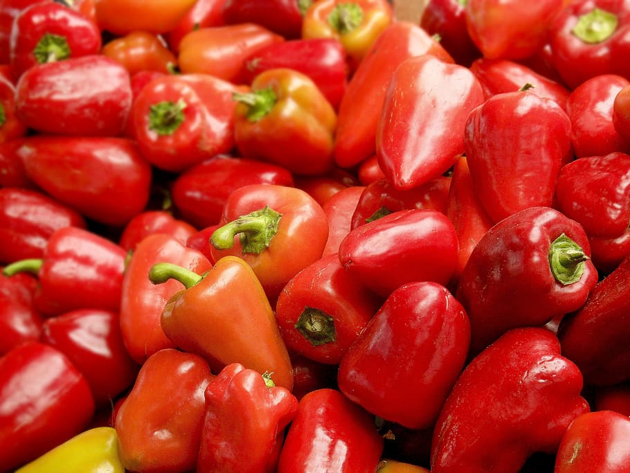 red chili pepper, peppers, vegetables, plants, vegetale, paprika HD wallpaper