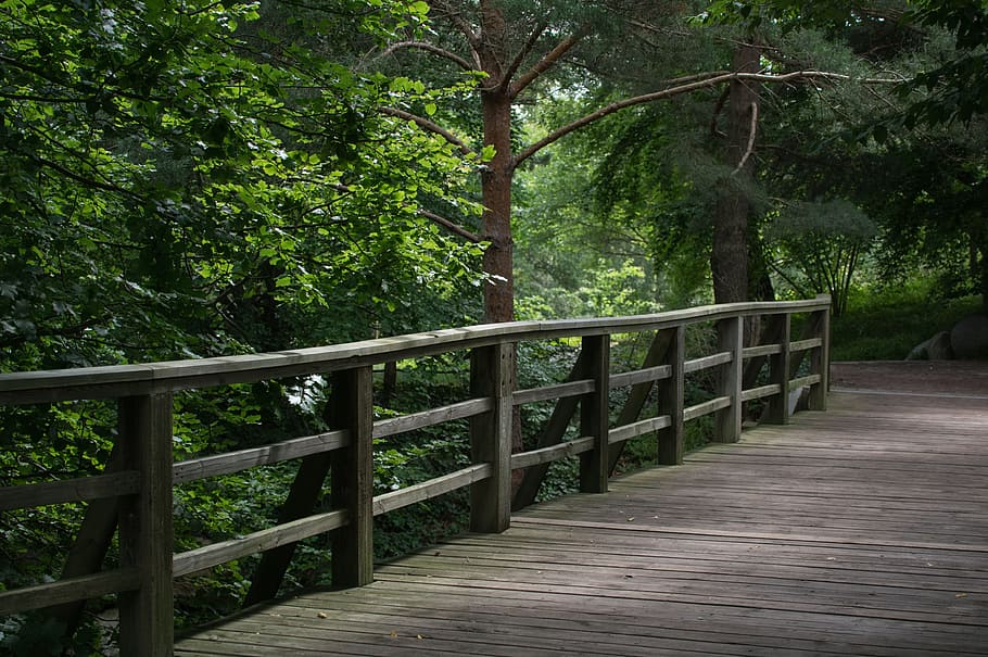 bridge, bridge railing, wood, tree, nature, landscape, summer HD wallpaper