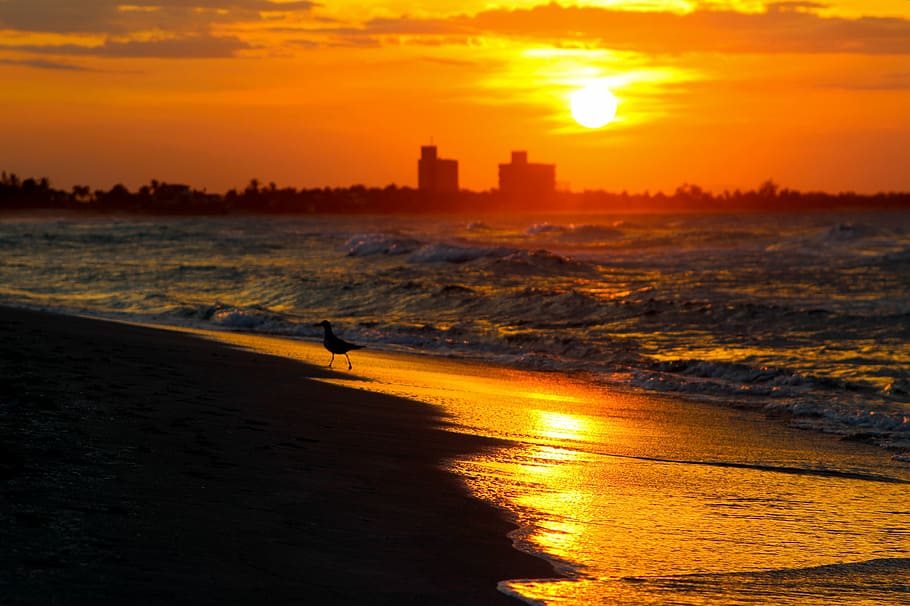 wide angle photo of shore during sunset, sea, sky, horizon HD wallpaper