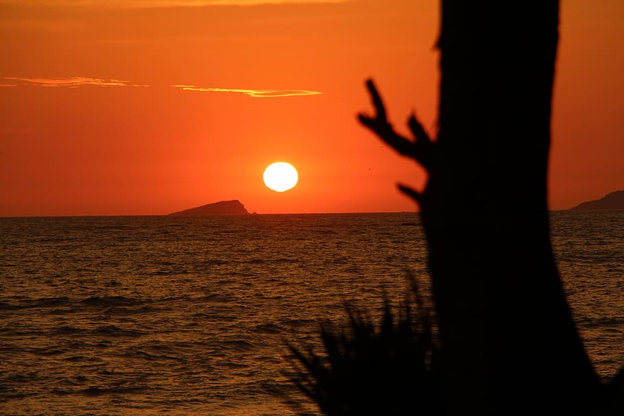 sunrise, sol, mar, beach, sky, horizon, dusk dawn, landscape HD wallpaper