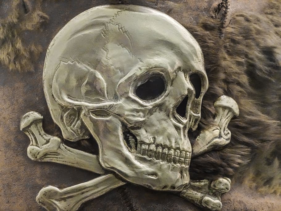silver skull embossed, logo, pirate, bones, skeleton, death HD wallpaper