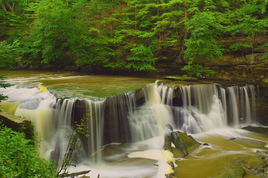 Hd Photography of River Surrounded With Trees, nature, stream HD wallpaper