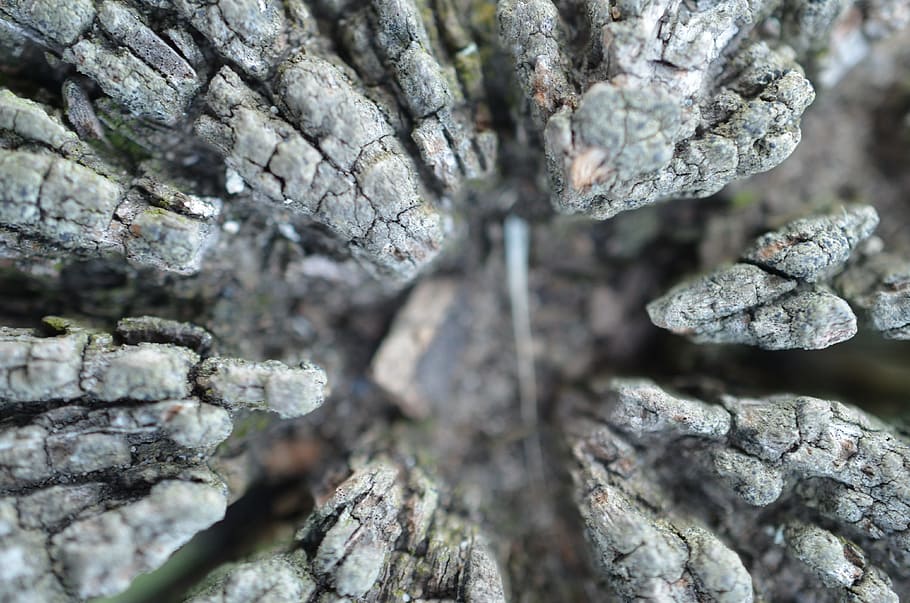 Pile, Log, Fence, Macro, Wood, fence post, rock - object, no people HD wallpaper