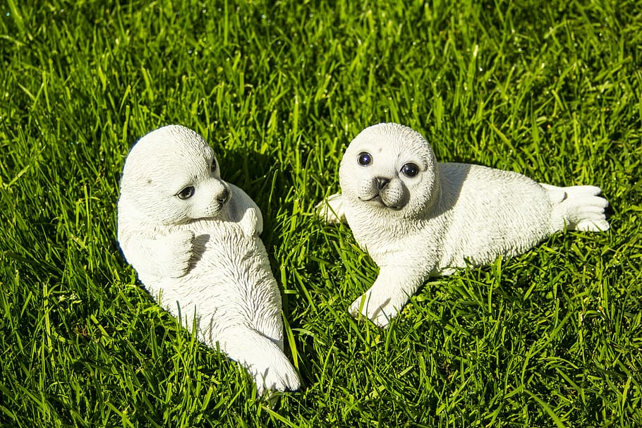 grass, cute, ceramic, seal, small, plant, animal themes, green color HD wallpaper