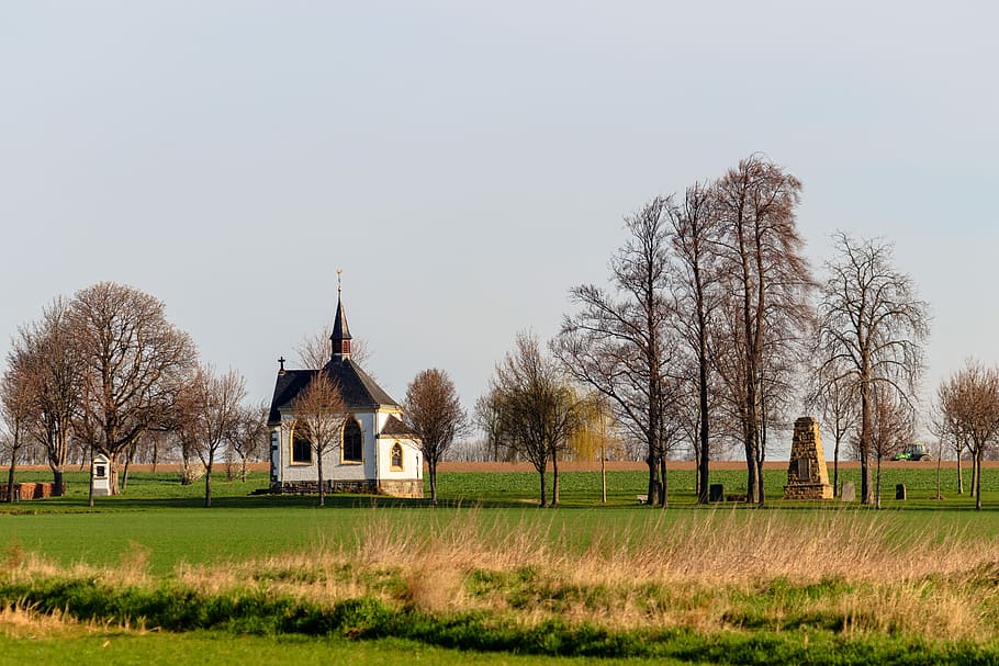 grass, tree, landscape, nature, field, chapel, eifel, architecture HD wallpaper