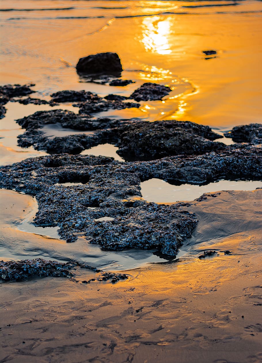 sunset, beach, ocean, sea, beach sunset, water, summer, vacation HD wallpaper