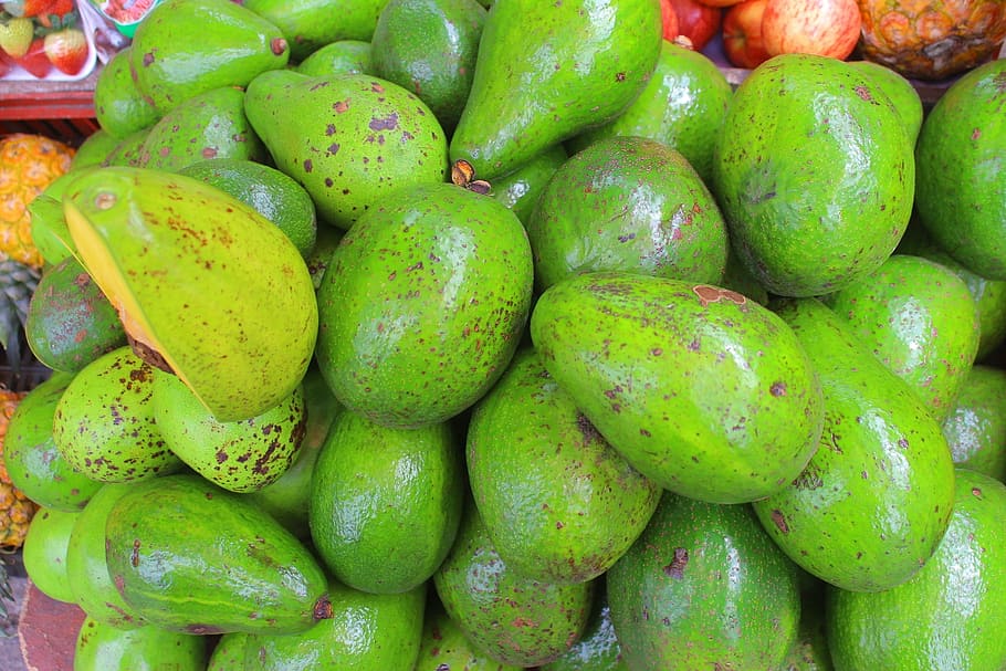 avocado, gallery, fruit, green, food, healthy, vegetables, nature HD wallpaper