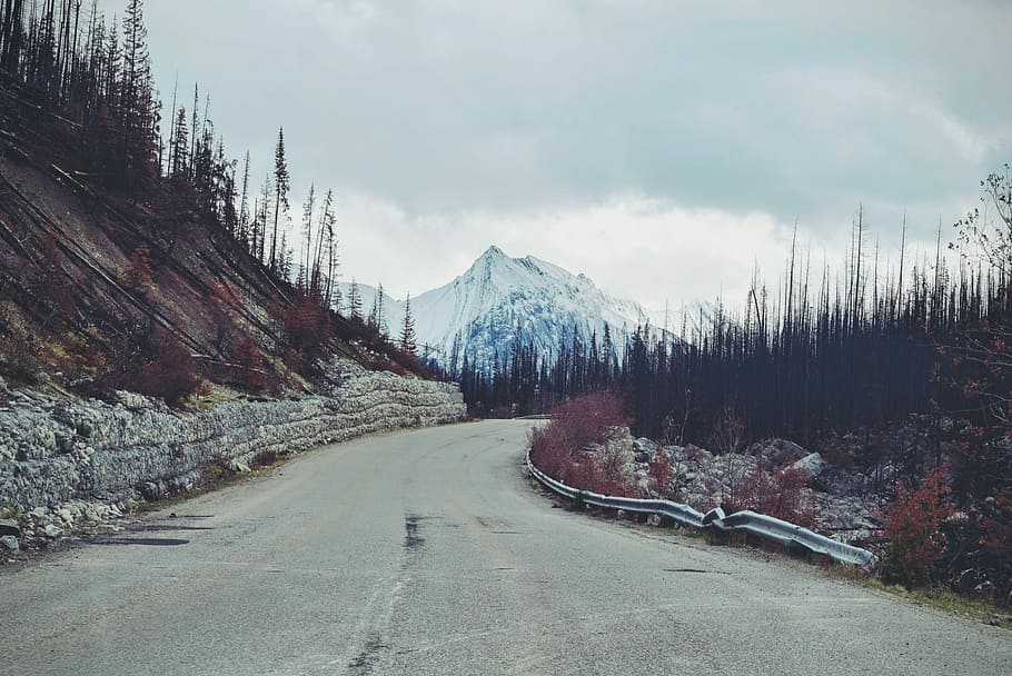 gray asphalt road towards snow covered mountain during daytime, gray concrete road top surrounded with trees at daytime HD wallpaper