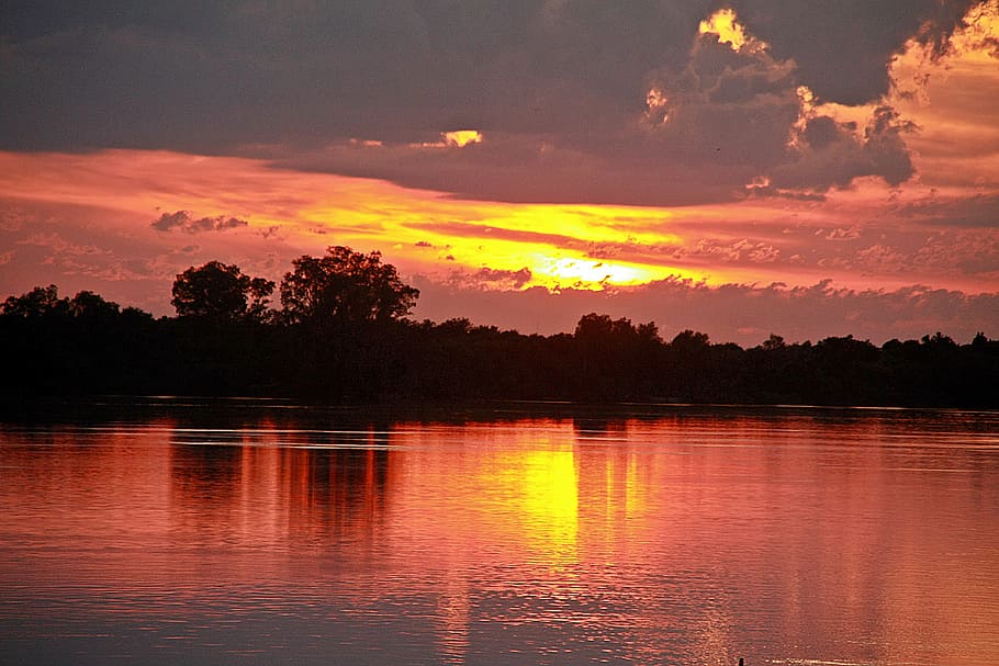 evening, twilight, water, reflection, bird, pond, sunset, sky HD wallpaper