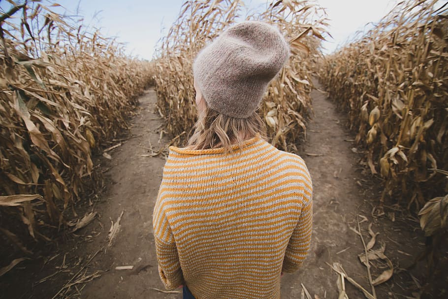woman standing in brown field while looking sideways, woman wearing yellow stripe shirt and gray knit cap standing in corn field during daytime, HD wallpaper