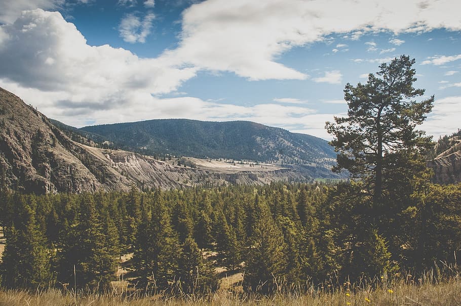 landscape, mountains, hills, valleys, fields, trees, forest HD wallpaper