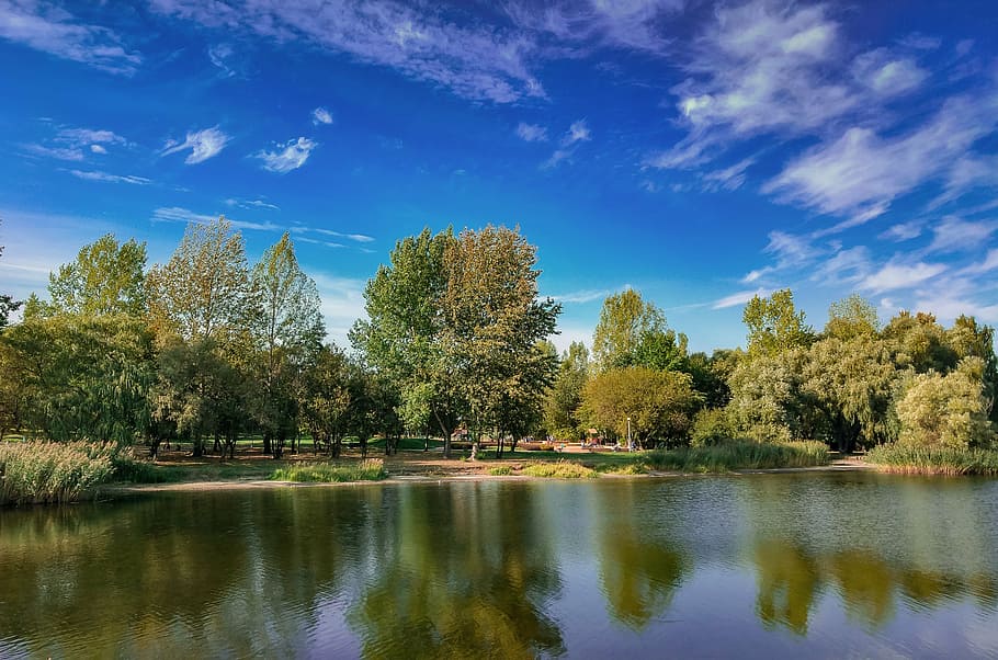 view, sky, clouds, landscapes, nature, tree, large view, blue HD wallpaper
